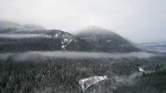 山，冬天，雪，树