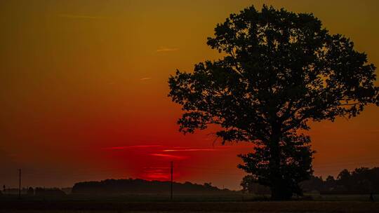 4k超震撼顶级画质延时日出万物复苏