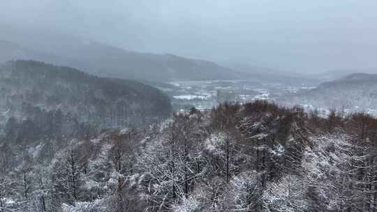 航拍东北下暴雪林海雪原威虎山