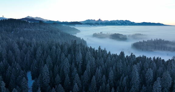 无人机拍摄的森林云海