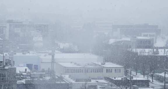 降雪，建筑物，温哥华，大都会