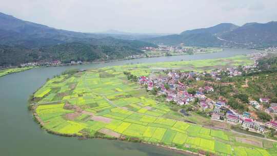 湖南省衡东县杨林镇洣水河畔油菜花航拍4k