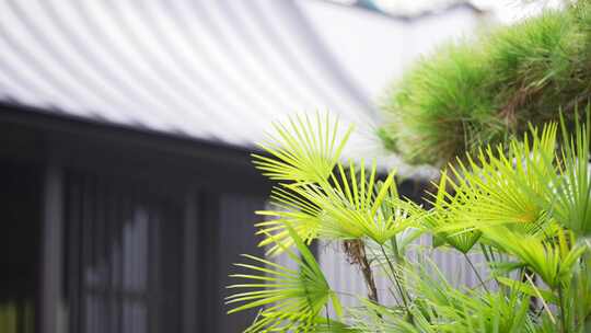 中式建筑宋代风格庭院