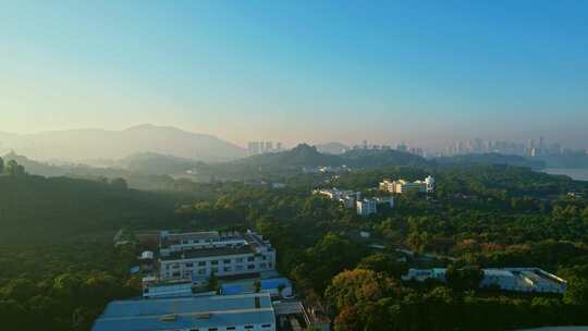 唯美深圳绿色城市湿地