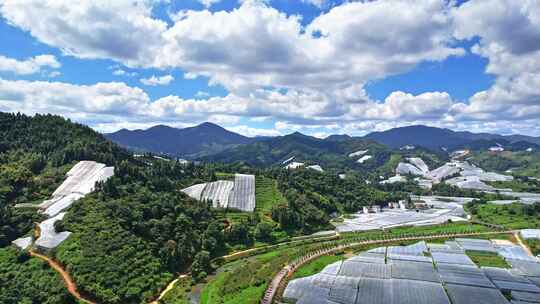 江西赣州赣南寻乌县脐橙种植基地航拍