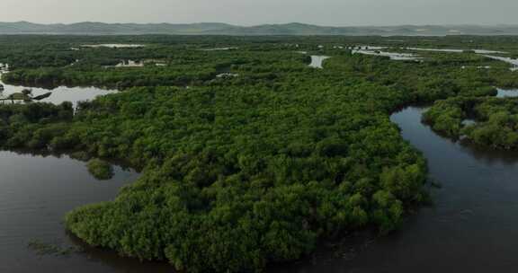 额尔古纳湿地航拍原素材