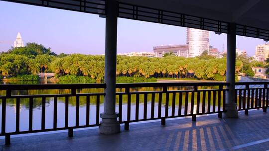 广州流花湖公园湖畔凉亭与城市景观