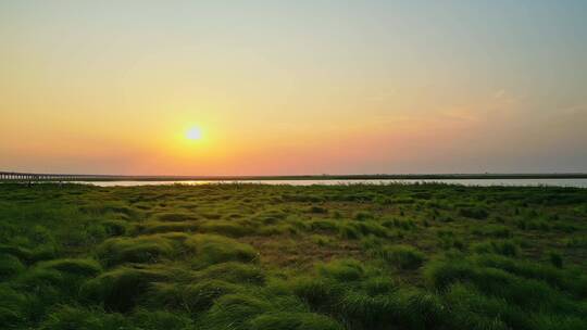 航拍鄱阳湖湿地草原