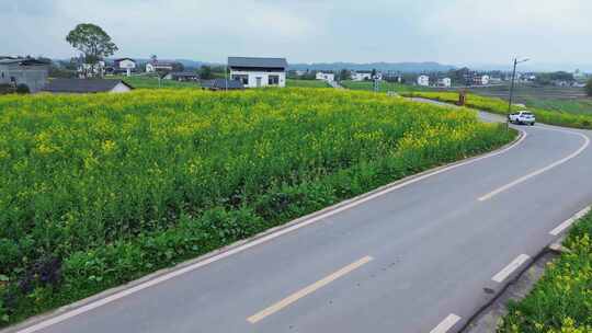 广安岳池航拍推进油菜花海与田园乡村