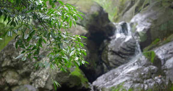 大自然 山野 雨后 瀑布