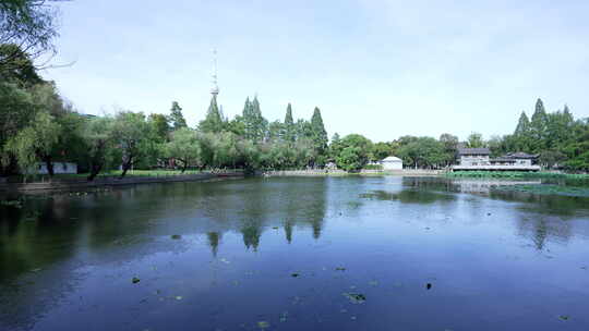 武汉汉阳区莲花湖公园