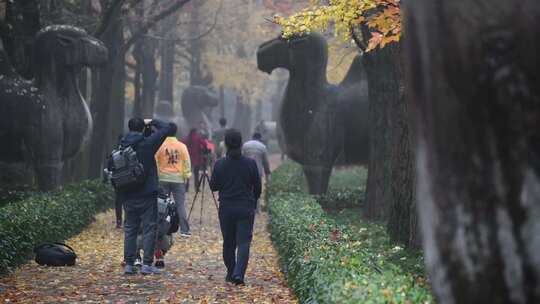 南京明孝陵石像路神道秋色景观