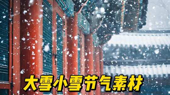 雪立冬冬至森林大雪小雪雪景雾凇