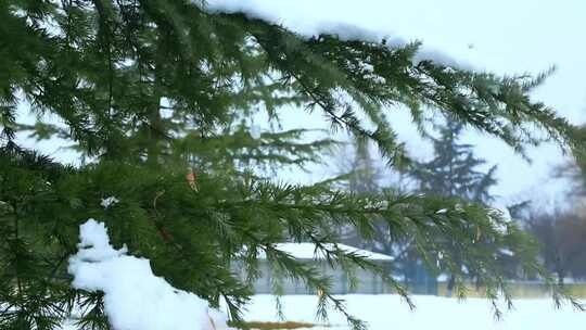 西安大明宫遗址公园大雪雪景视频素材模板下载