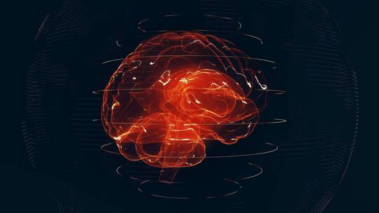 红色数字大脑视频素材模板下载