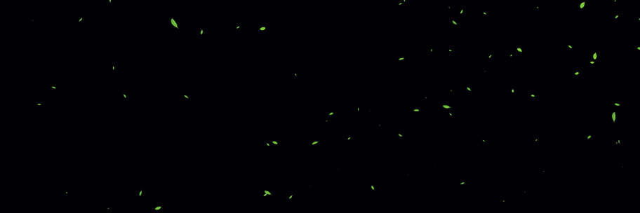 树叶飘落带通道