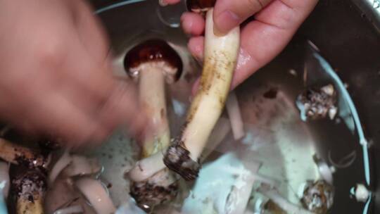 清洗松茸切松茸片洗蘑菇切蘑菇