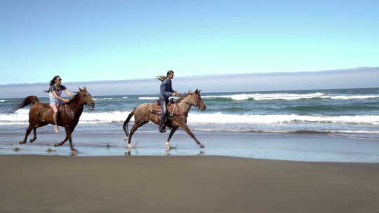 海滩上骑马的女人