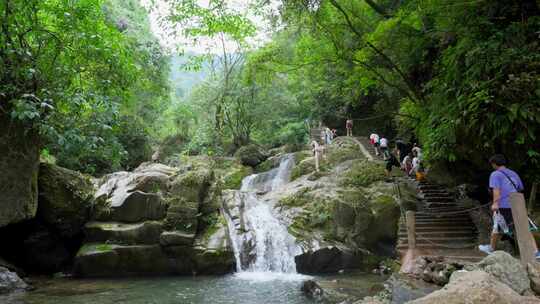 成都青城山后山峡谷森林步道溪流自然景观