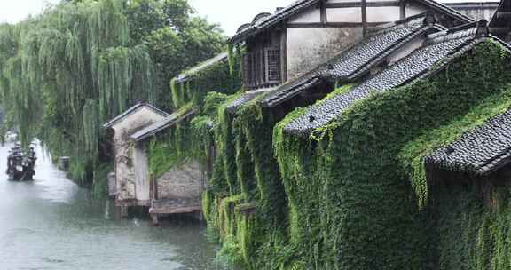 （慢镜）中国江南水乡千年古镇乌镇下雨天