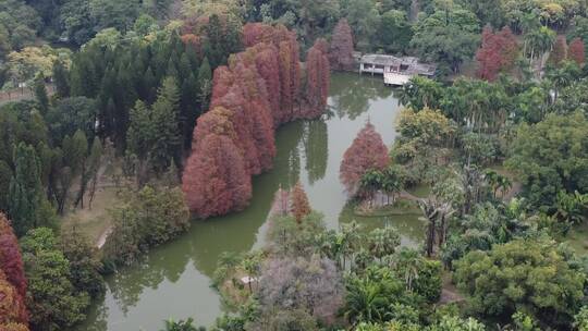 广州华南植物园航拍