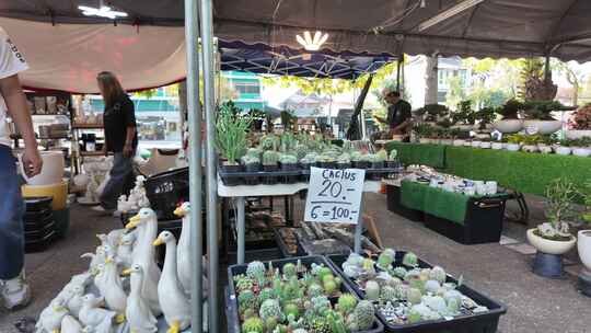 泰国色彩斑斓的鲜花市场