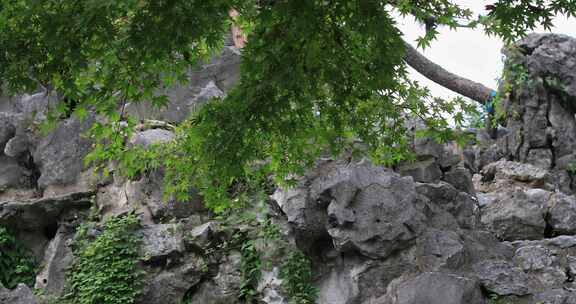 苏州园林典雅建筑局部特写 环秀山庄