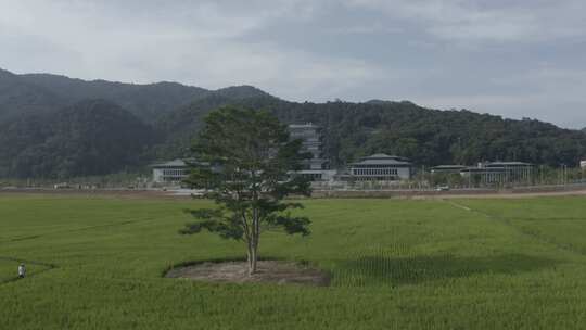 中国广东省广州市从化区广州国家版本馆