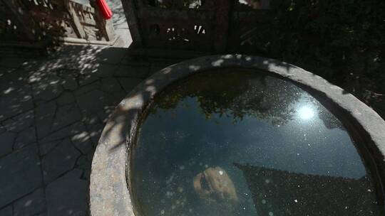 公园石头水缸视频石头水缸投币的游客