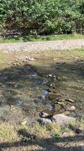 济南龙洞风景区，粉黛乱子草花海秋景迷人