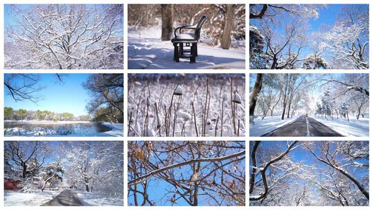 雪景 立冬 小雪 大学 冬至 小寒 大寒高清在线视频素材下载