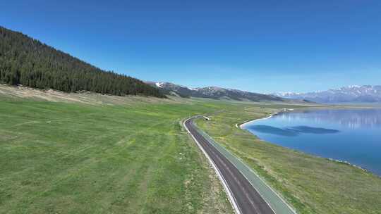 新疆赛里木湖环湖公路夏季风景 森林草原