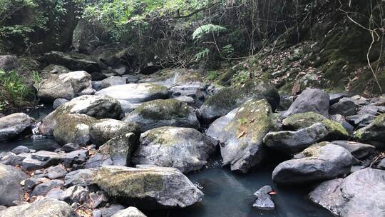 黑石小溪流水4k高清山涧