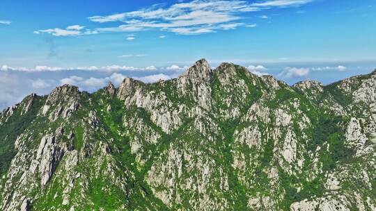 青岛小珠山