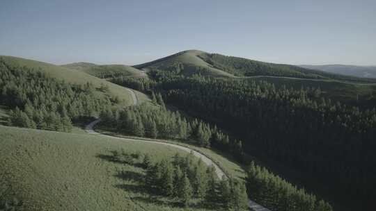 内蒙古呼和浩特新城区灯笼素草原美景