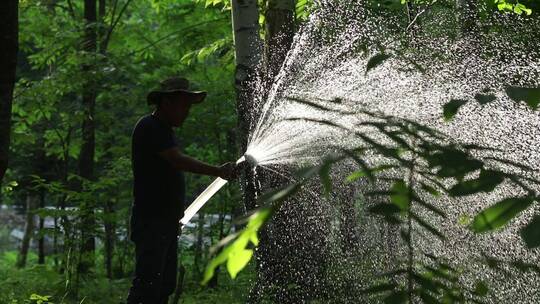 长白山采参人视频素材16