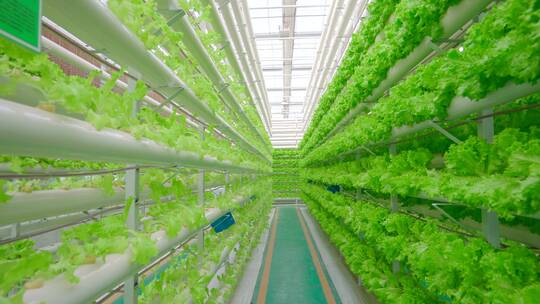 温室大棚现代化农业