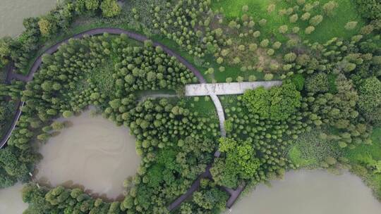 广州城市湿地公园航拍视频素材模板下载