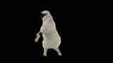 101幻灯片嘻哈舞蹈羊4K高清在线视频素材下载