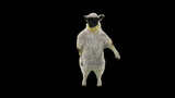 101幻灯片嘻哈舞蹈羊4K高清在线视频素材下载