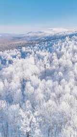 4K竖屏航拍林海雪原雪森林雾凇-2高清在线视频素材下载