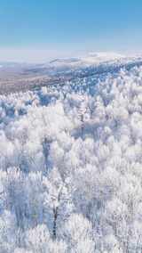 4K竖屏航拍林海雪原雪森林雾凇-2高清在线视频素材下载