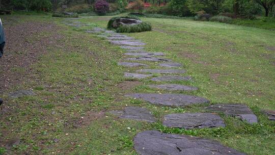 富春江江南水乡风景视频