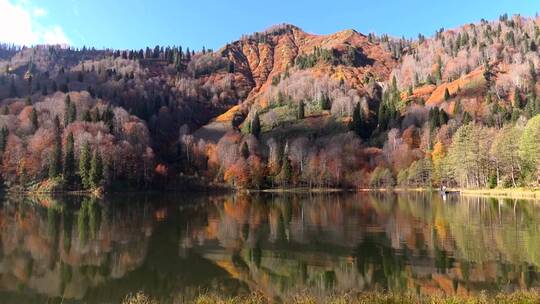 美丽的湖泊和秋天的森林