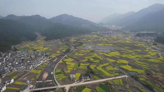 油菜花开 宣城市绩溪县伏岭村风光航拍素材