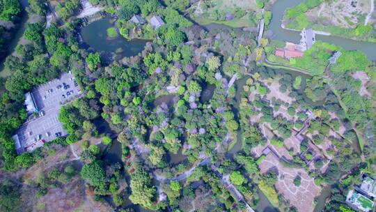 广州海珠国家湿地公园绿树河流航拍风光