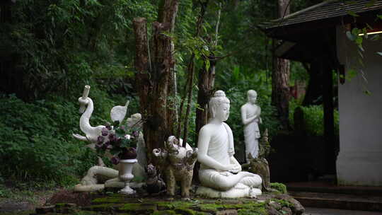 泰国清迈曼谷寺庙树林森林高山佛像视频素材模板下载