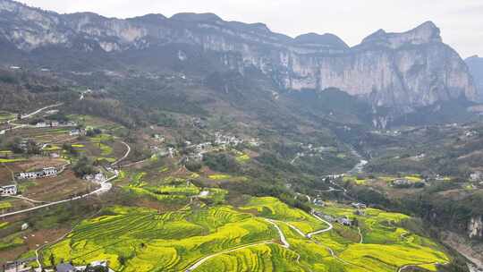 湖北恩施5A景区大峡谷绝壁花海航拍