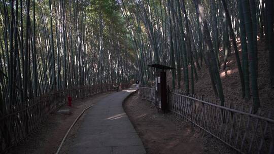 杭州西湖宝石山风景视频