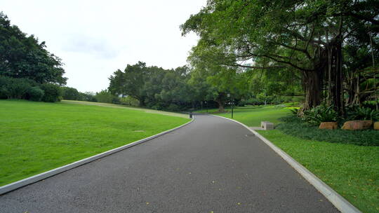 公园跑道林荫大道林间小路